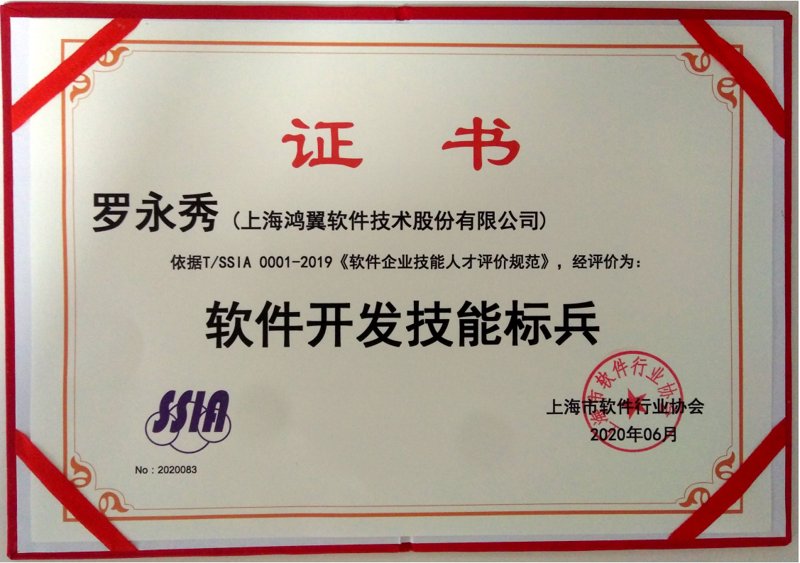 上海软件开发：科技之光引领未来